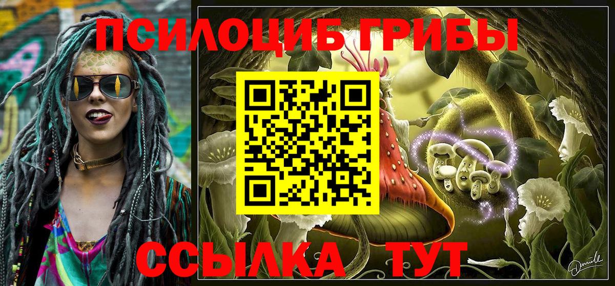 Галлюциногенные грибы Psilocybe  Вход с VPN  Курчалой 