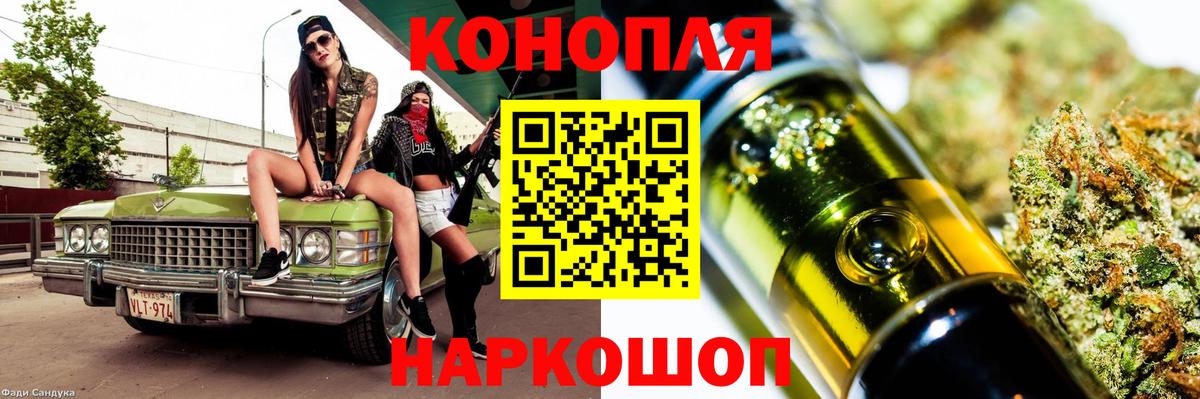 Курчалой  Конопля тримм  Шишки марихуана Bruce Banner  Шишки марихуана план  Вход с VPN 